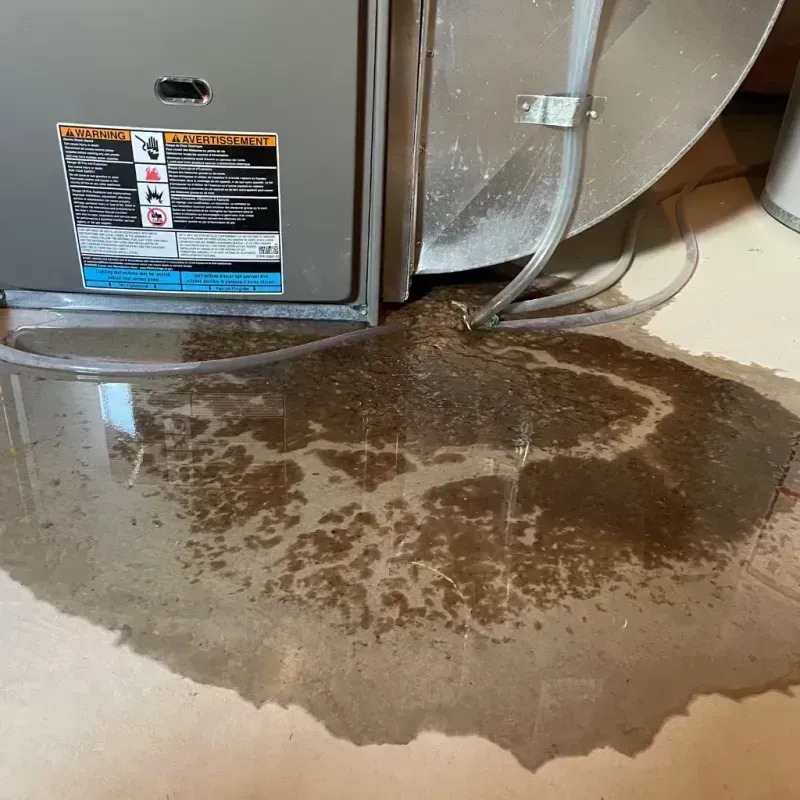 Appliance Leak Cleanup in Hewlett, NY